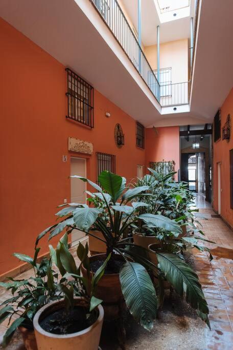 Selecta Elegante Y Centrico Apartamento Sevilla Exteriér fotografie
